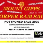 Mt Gipps Ram Sale Postponed