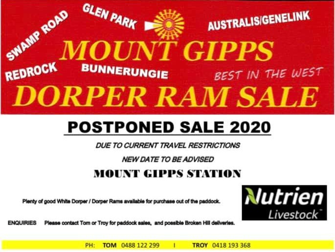 Mt Gipps Ram Sale Postponed